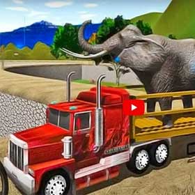 Animal Truck Transport